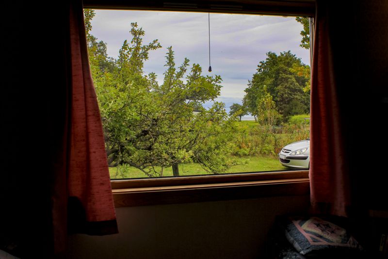 Best Window Replacement Contractors in Livonia, MI